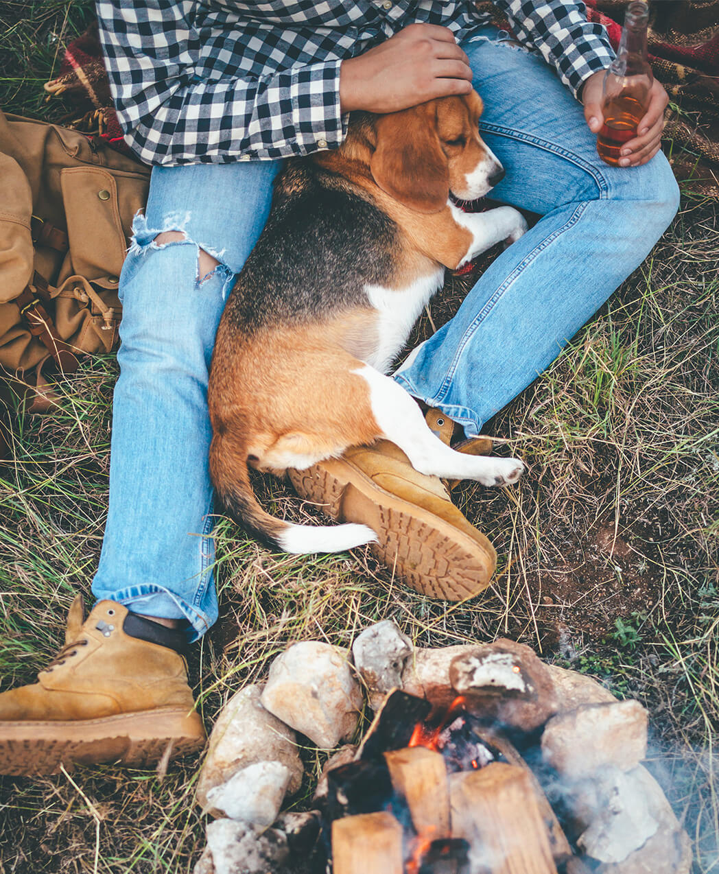 Dog at Campfire