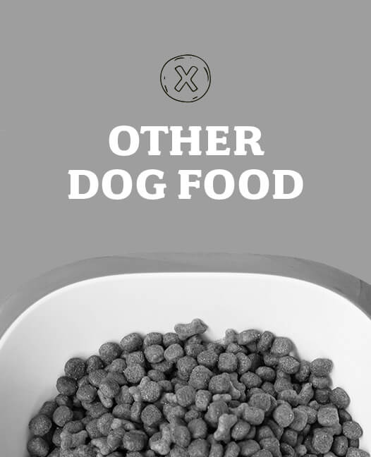 Other Dog Food