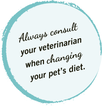 Consult with a vet